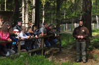 Wildpark Mehlmeisel7.jpg