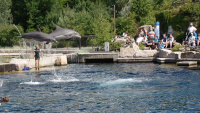 Zoo Nbg 5 61.jpg