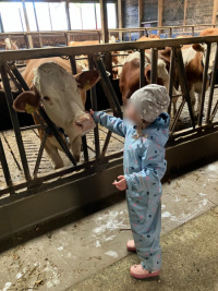 Milch neu 1.jpg