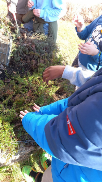 Arbeit an der Kräuterschnecke