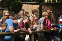 Wildpark Mehlmeisel8.jpg