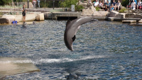 Zoo Nbg 5 62.jpg