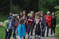 Wildpark Mehlmeisel3.jpg