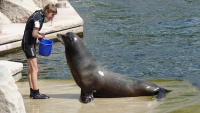 Zoo Nbg 5 610.jpg