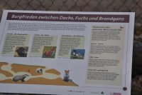 Wildpark Mehlmeisel9.jpg